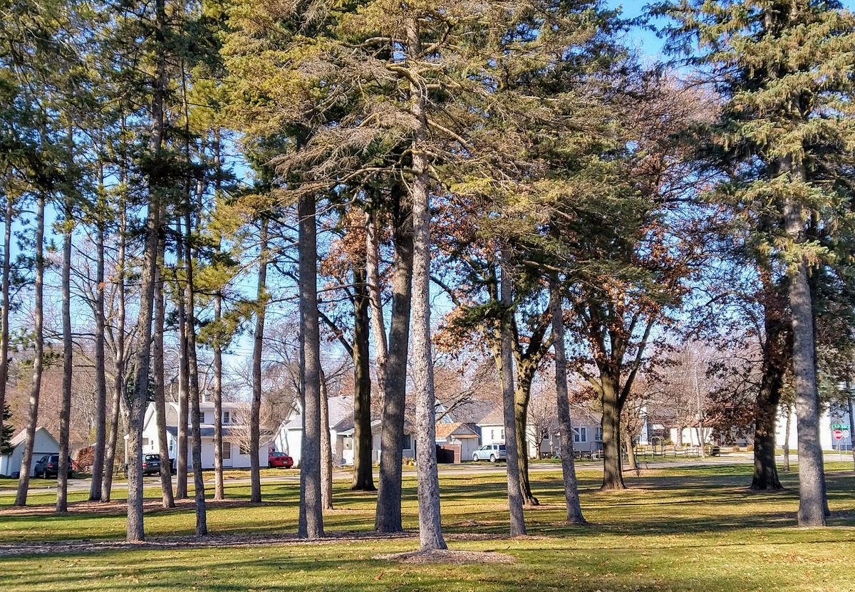 Side view of Hole 5