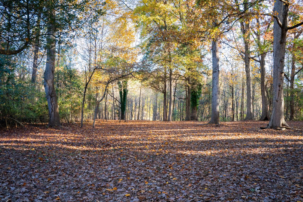 Hole 3 approach.