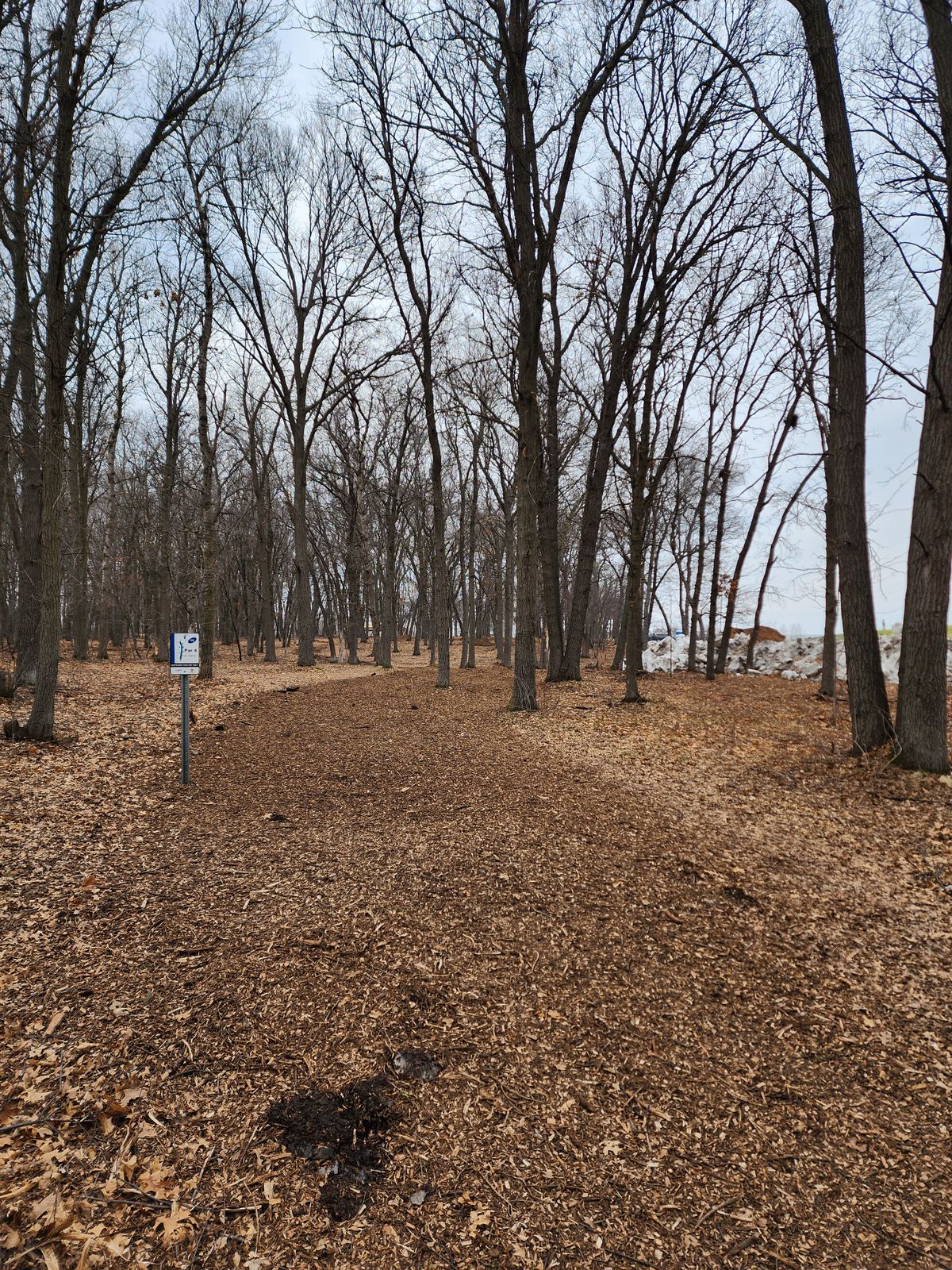 Nice mulch being added to fairways