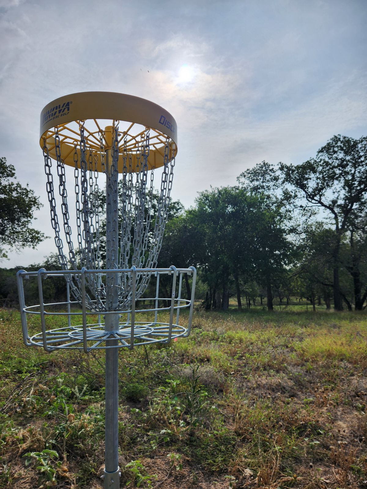 New baskets!