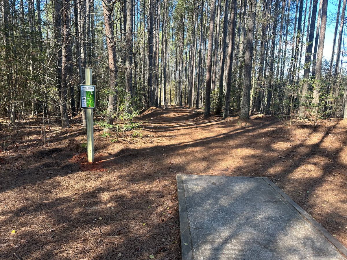 Hole 11, only tee pad