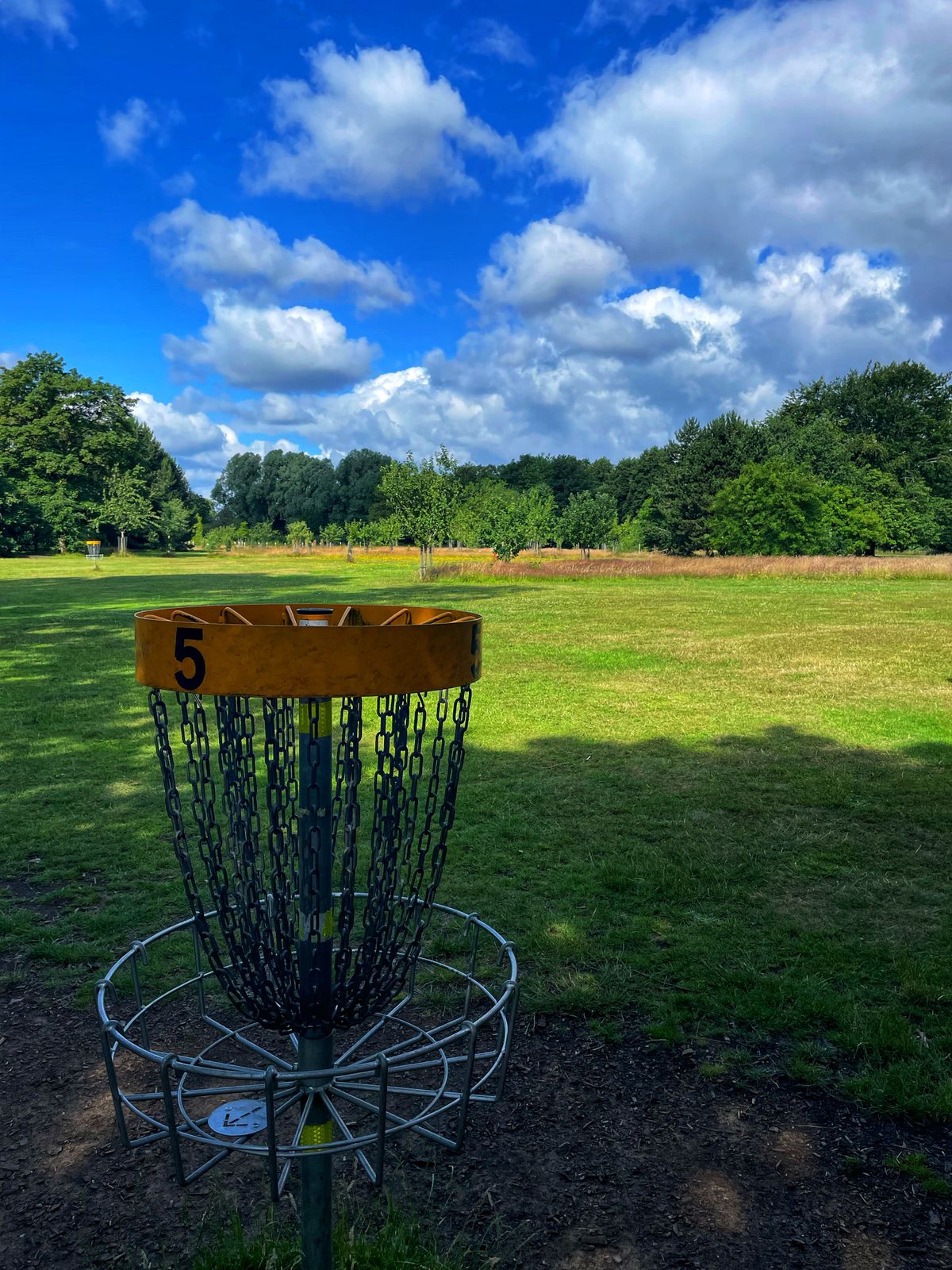 View from 5th basket towards holes 12, 13, 14 and 15 in the distance.