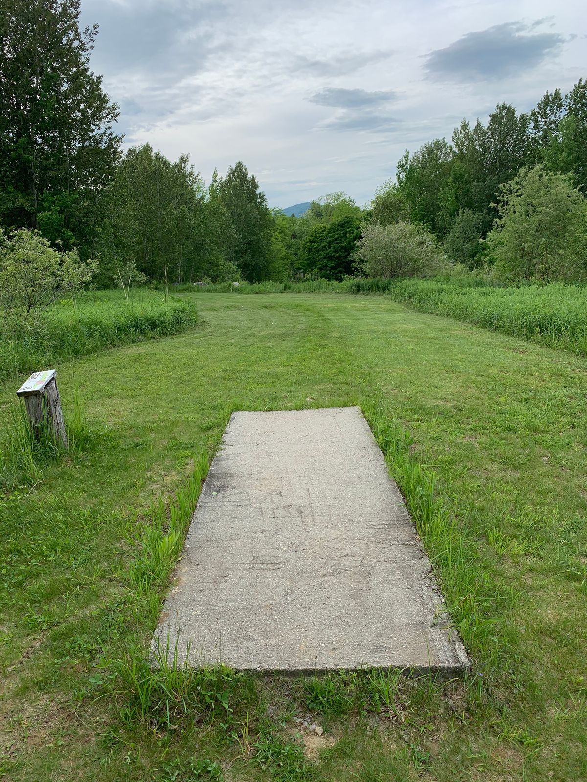Hole 3, with a new trim!