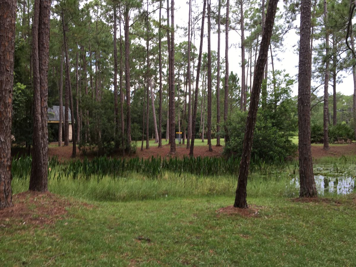 Hole 9 Approach