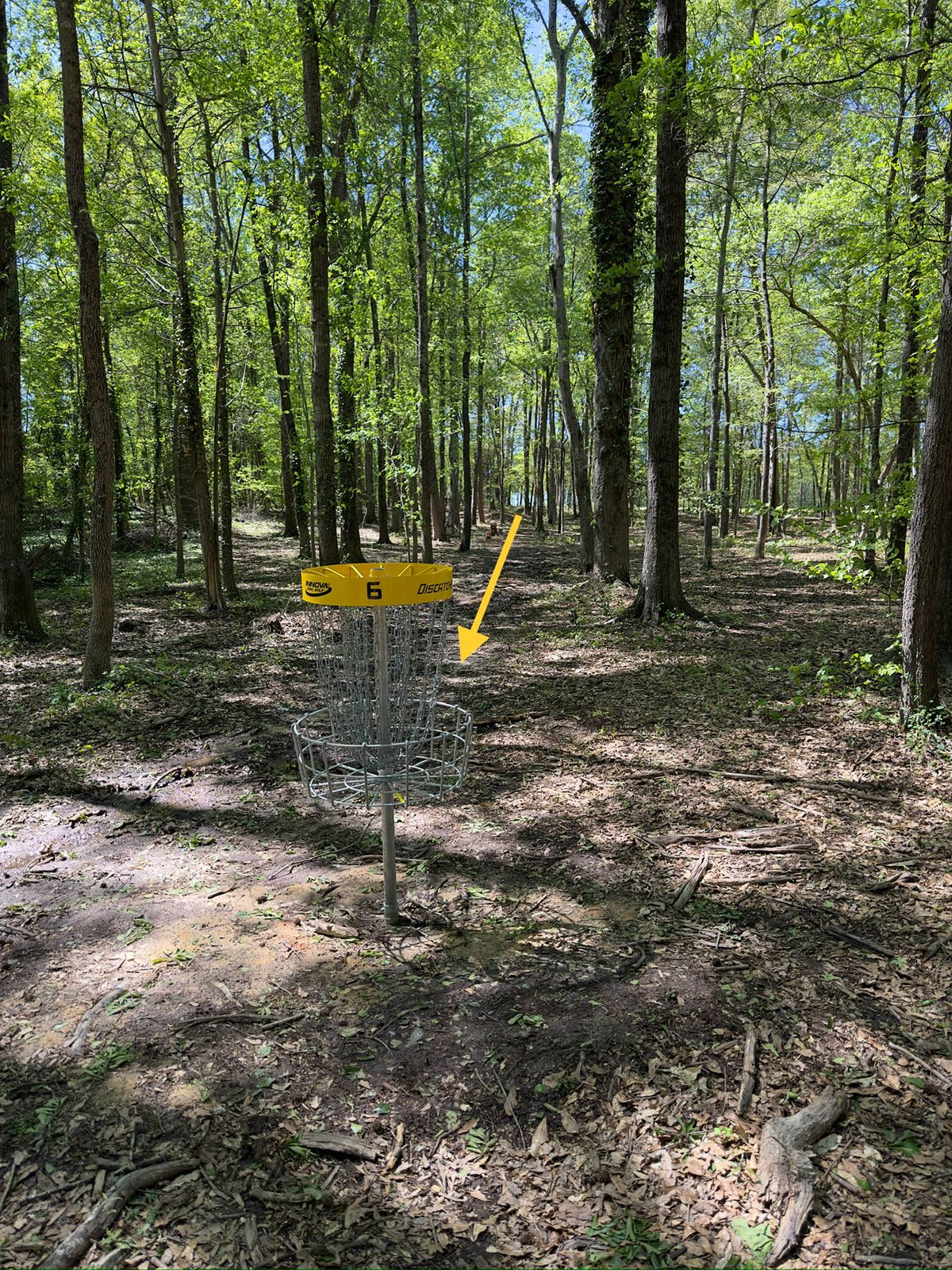 Hole 6 basket