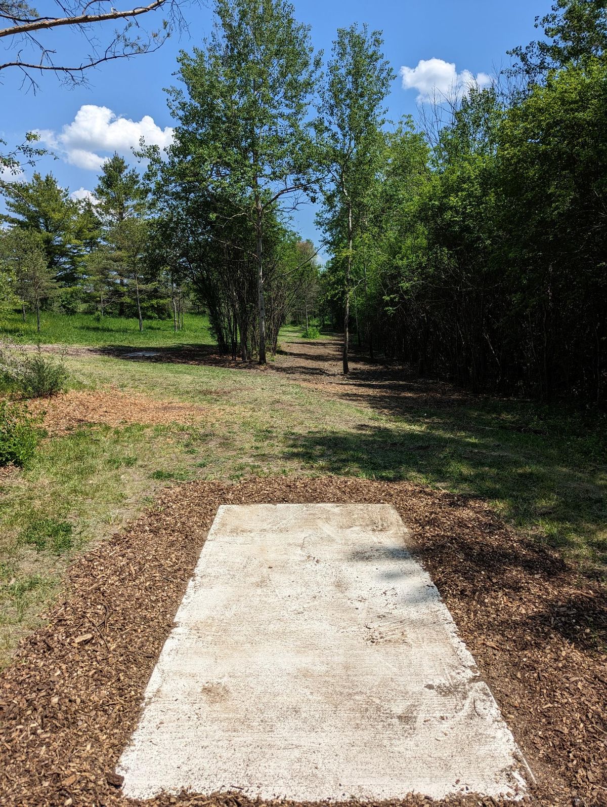 Hole 5 longs
