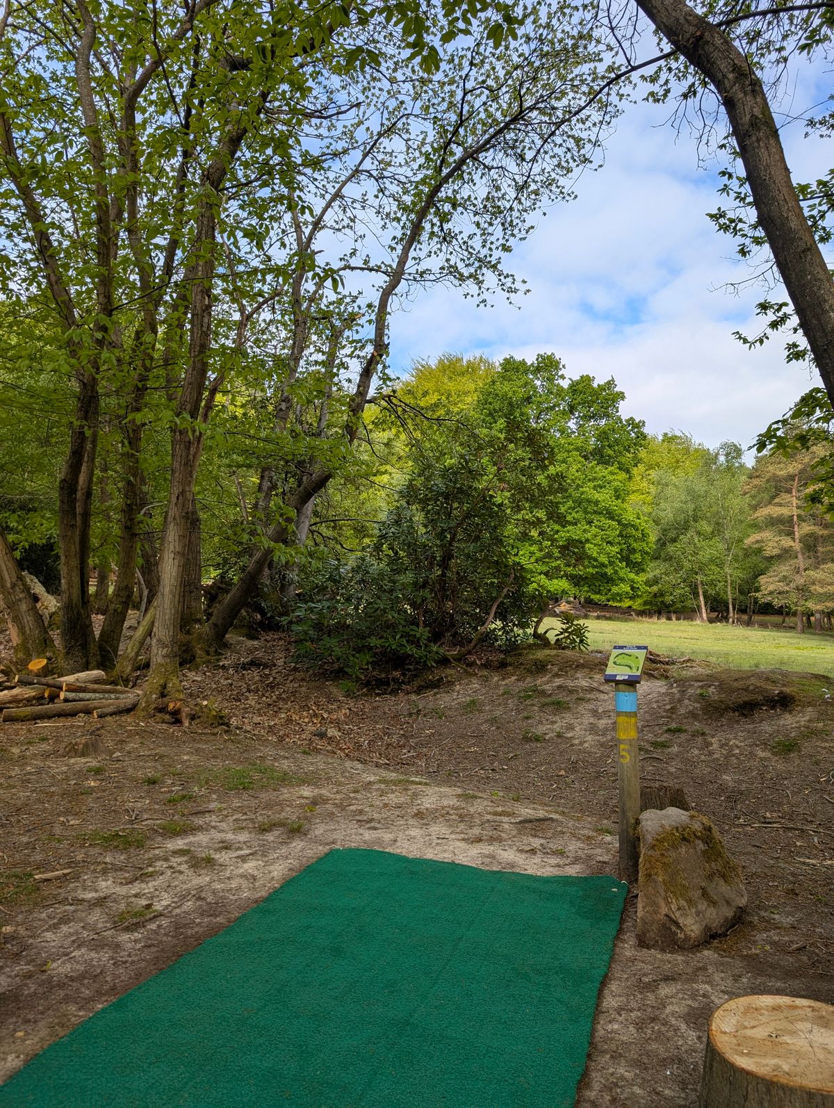 Hole 5 teepad blue/yellow. Basket uphill left