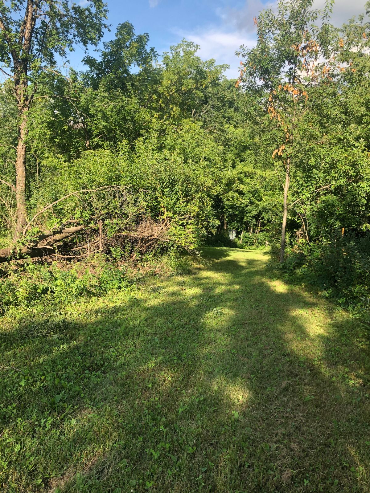 Basket Hole 5