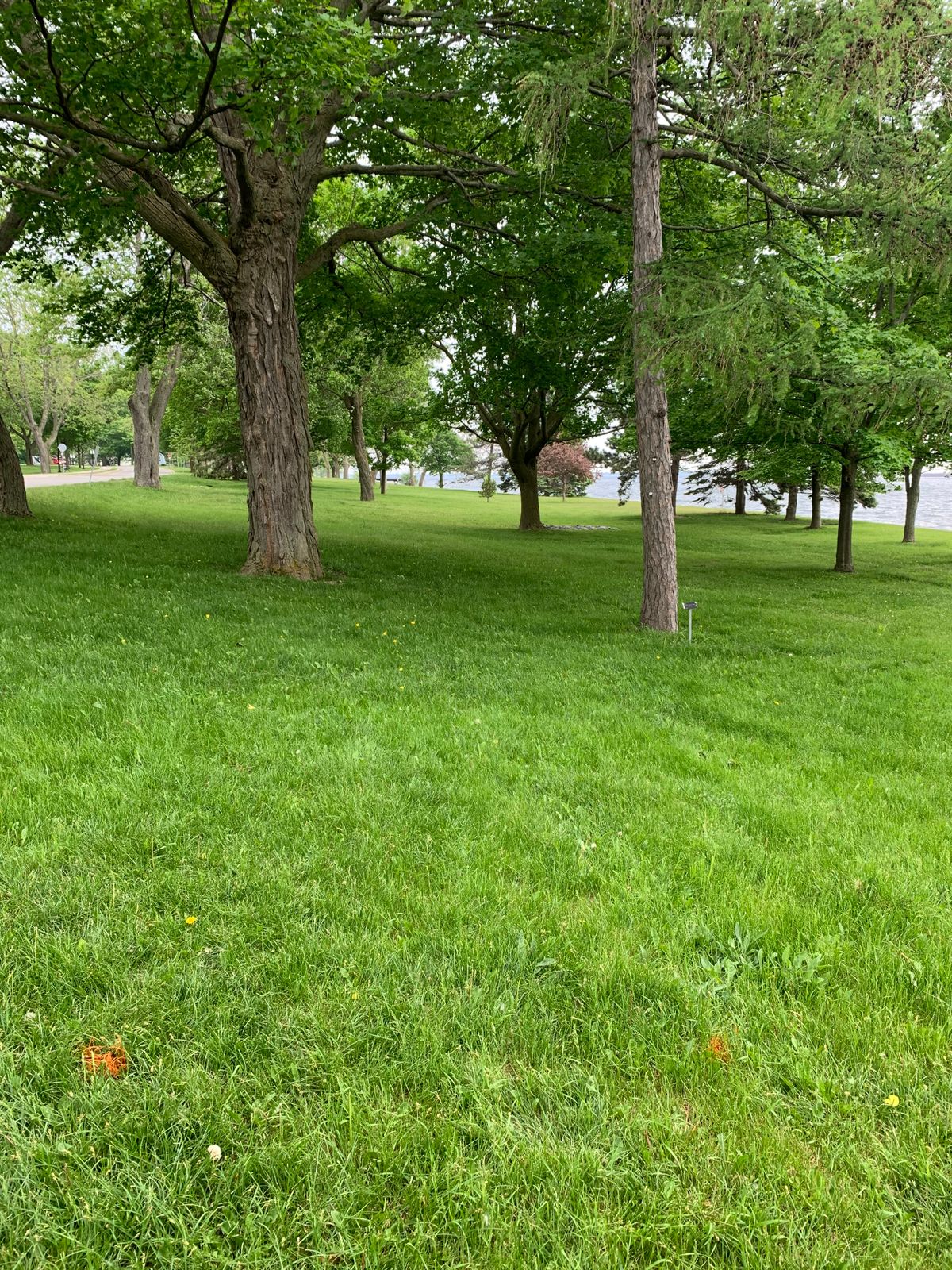 Hole 4 white tee