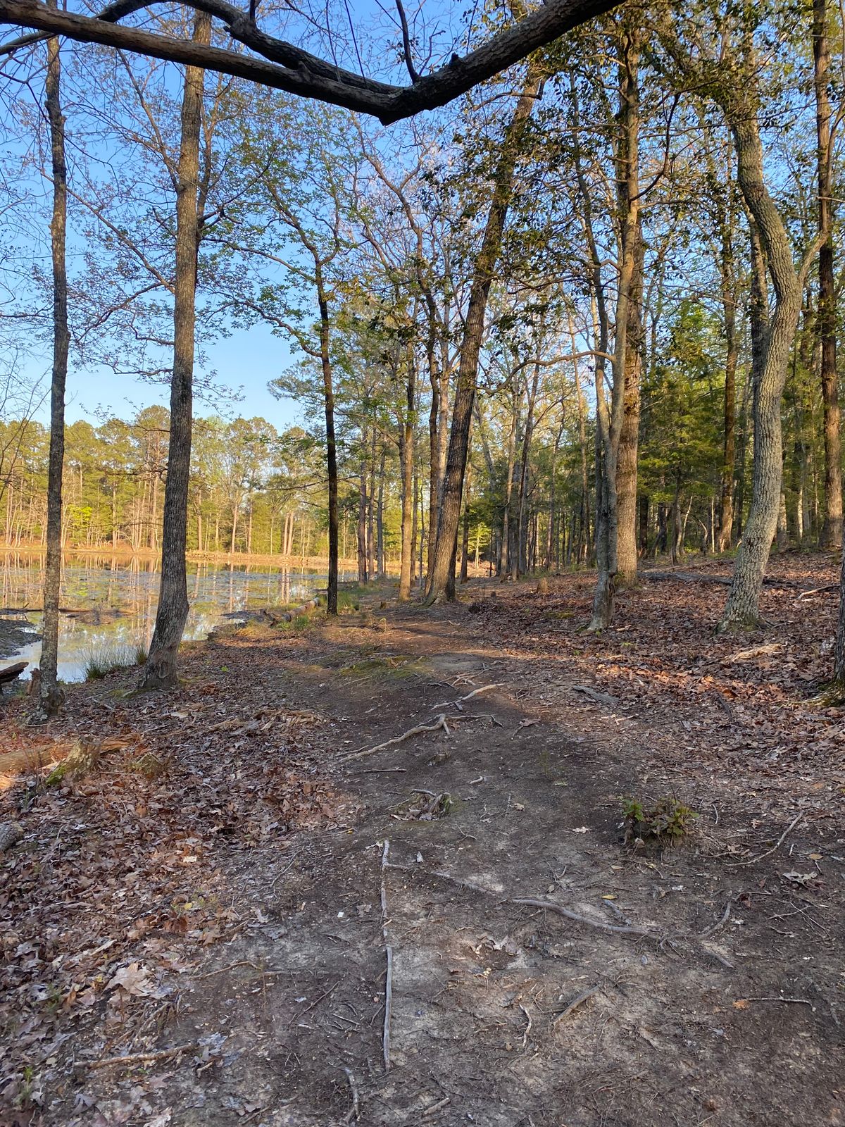 Hole 8