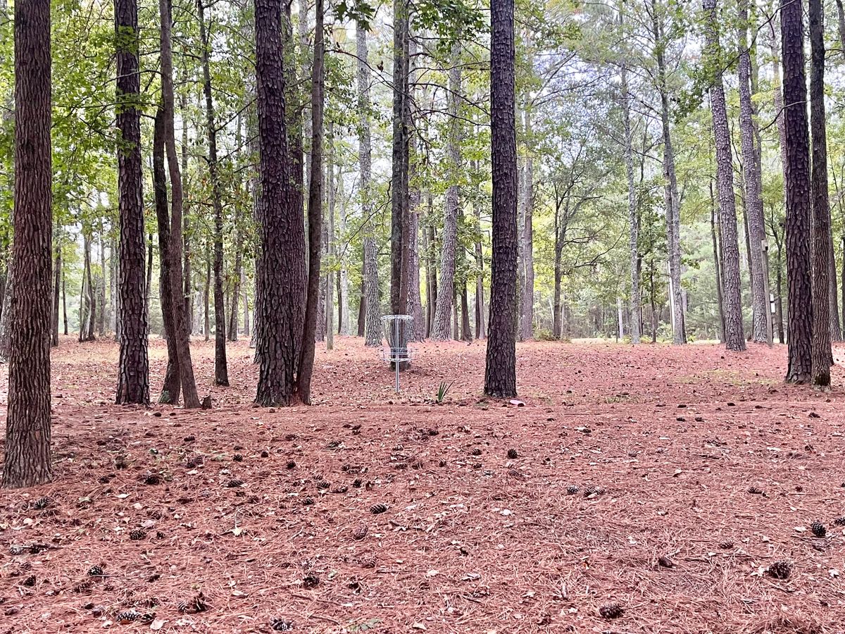 Hole 5 Basket