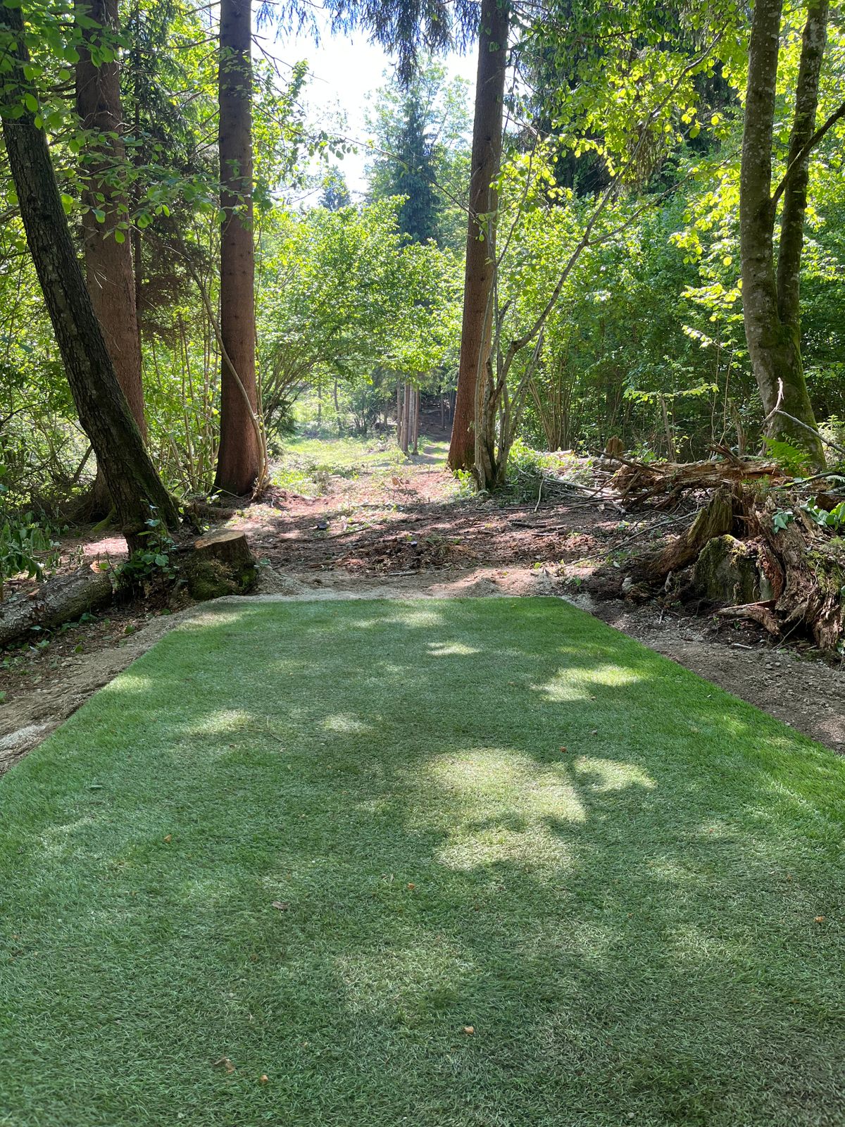 Tee of Hole 5/15