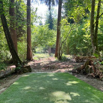 Tee of Hole 5/15