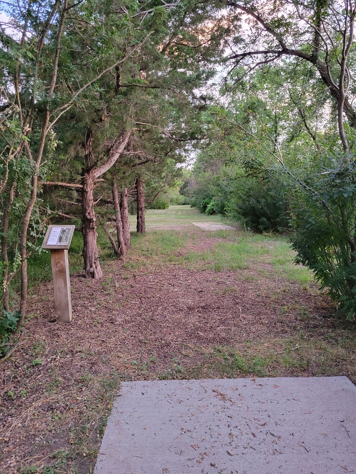 Hole 15 deep tee pad