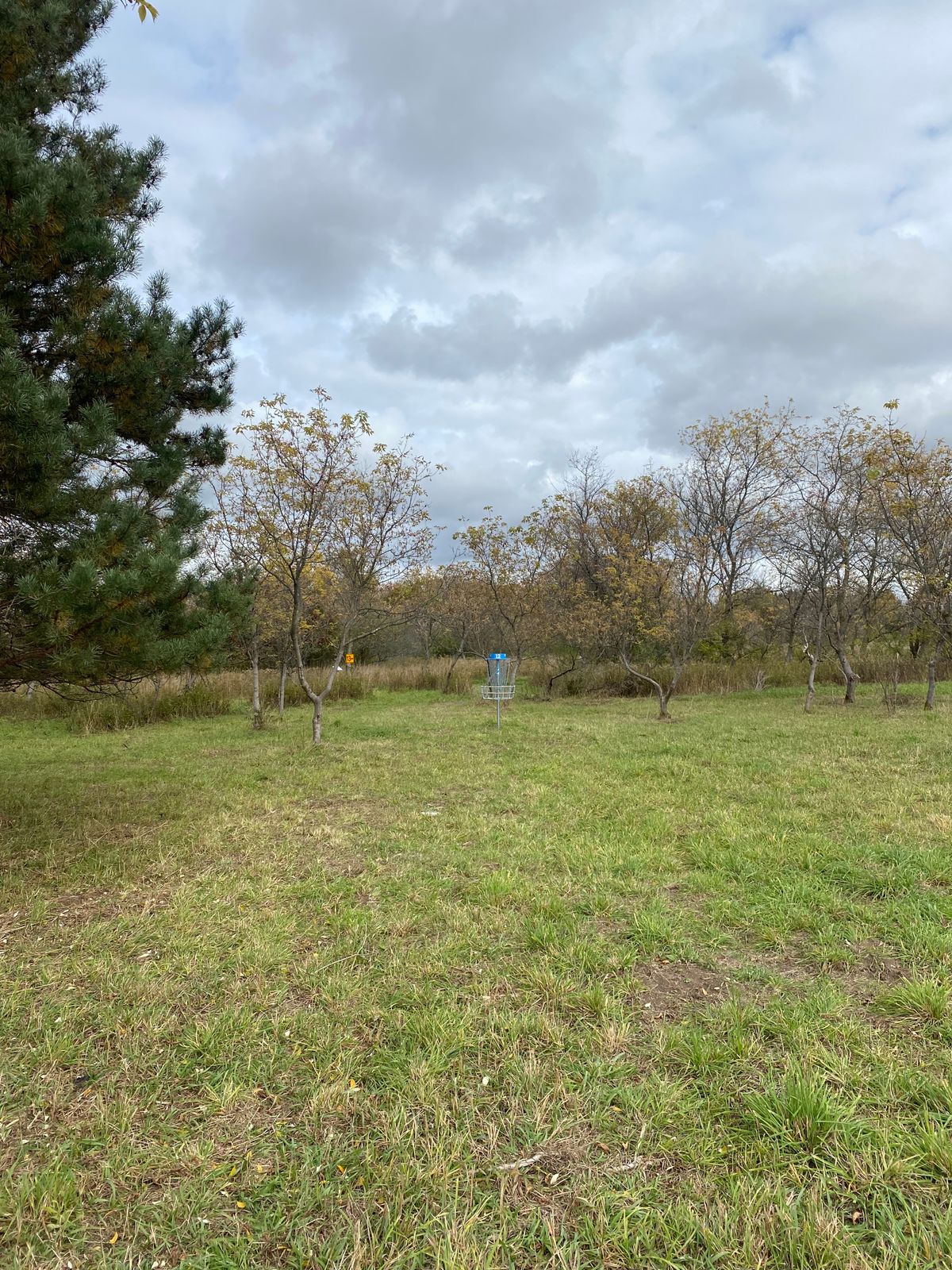 Hole 12 basket