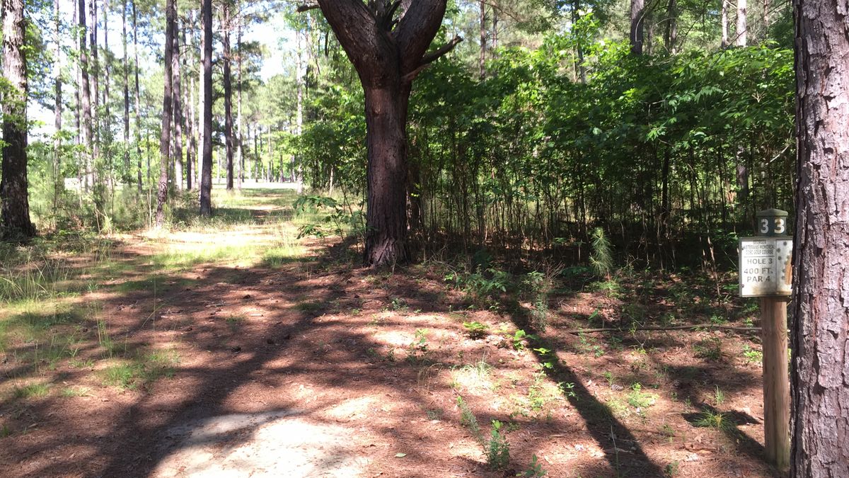 Hole 3