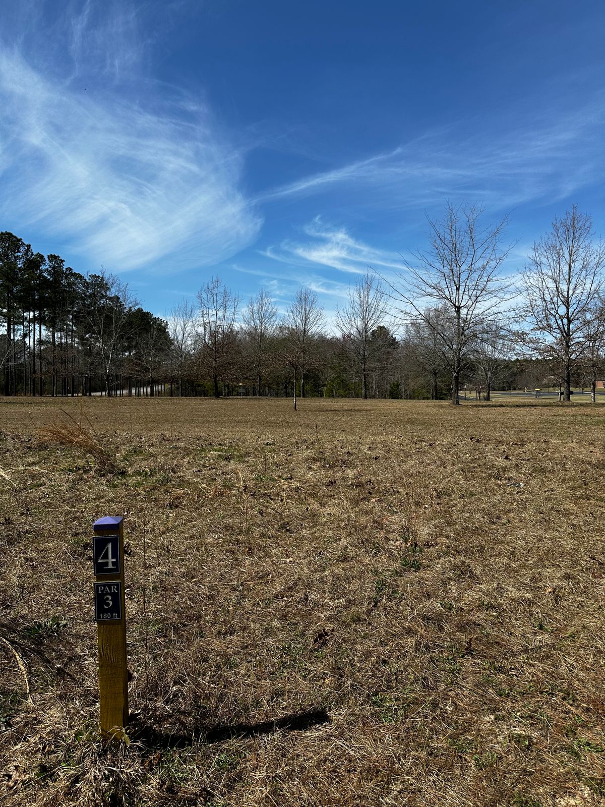 Hole 4 shot par 3
