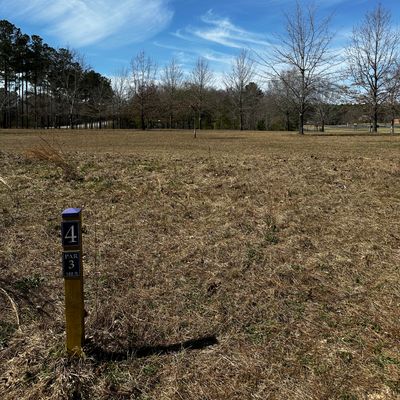 Hole 4 shot par 3