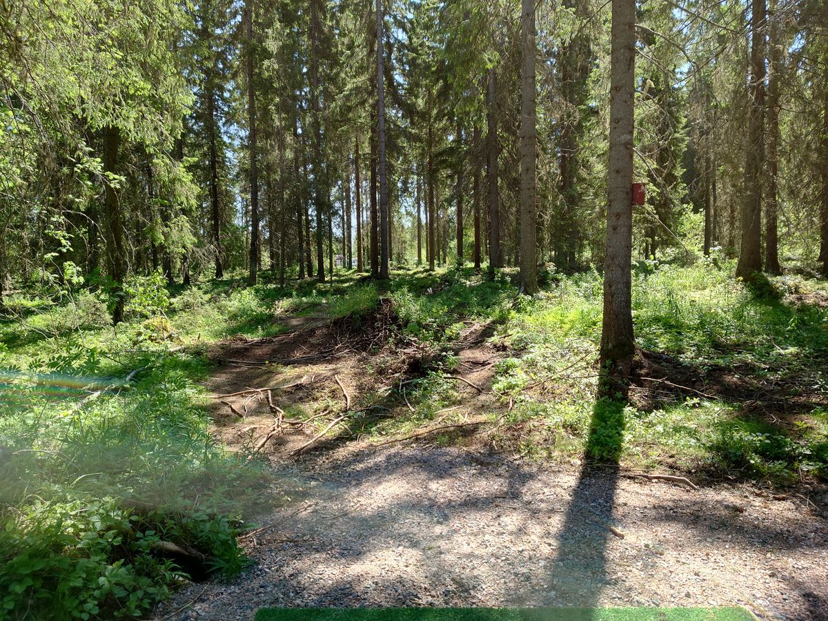 Väylä 5