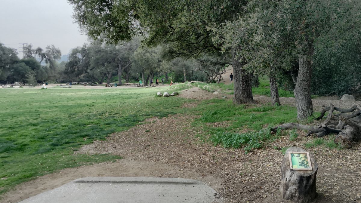 Hole 3
