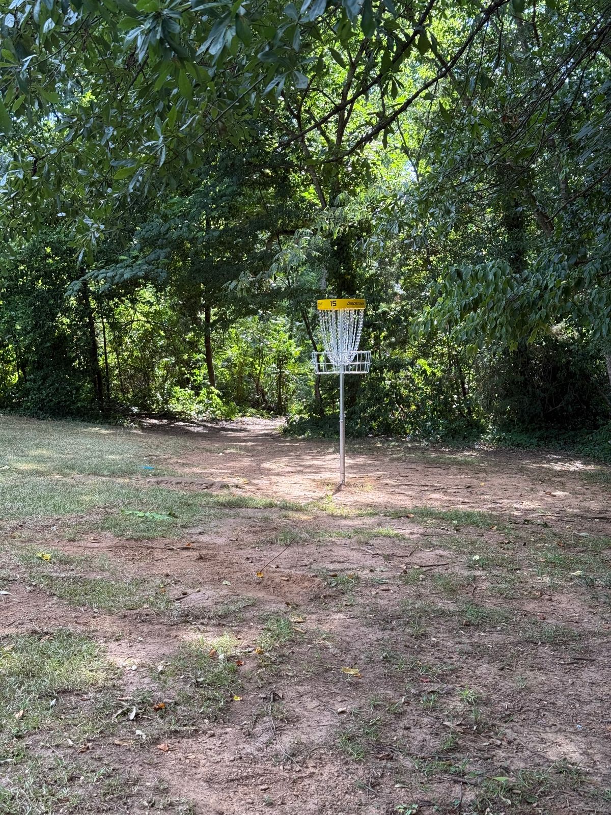 Hole 15 new elevated basket - July 2025