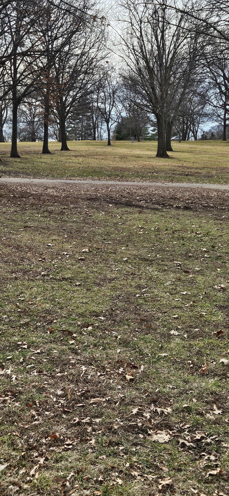 Hole 1 Tee to basket