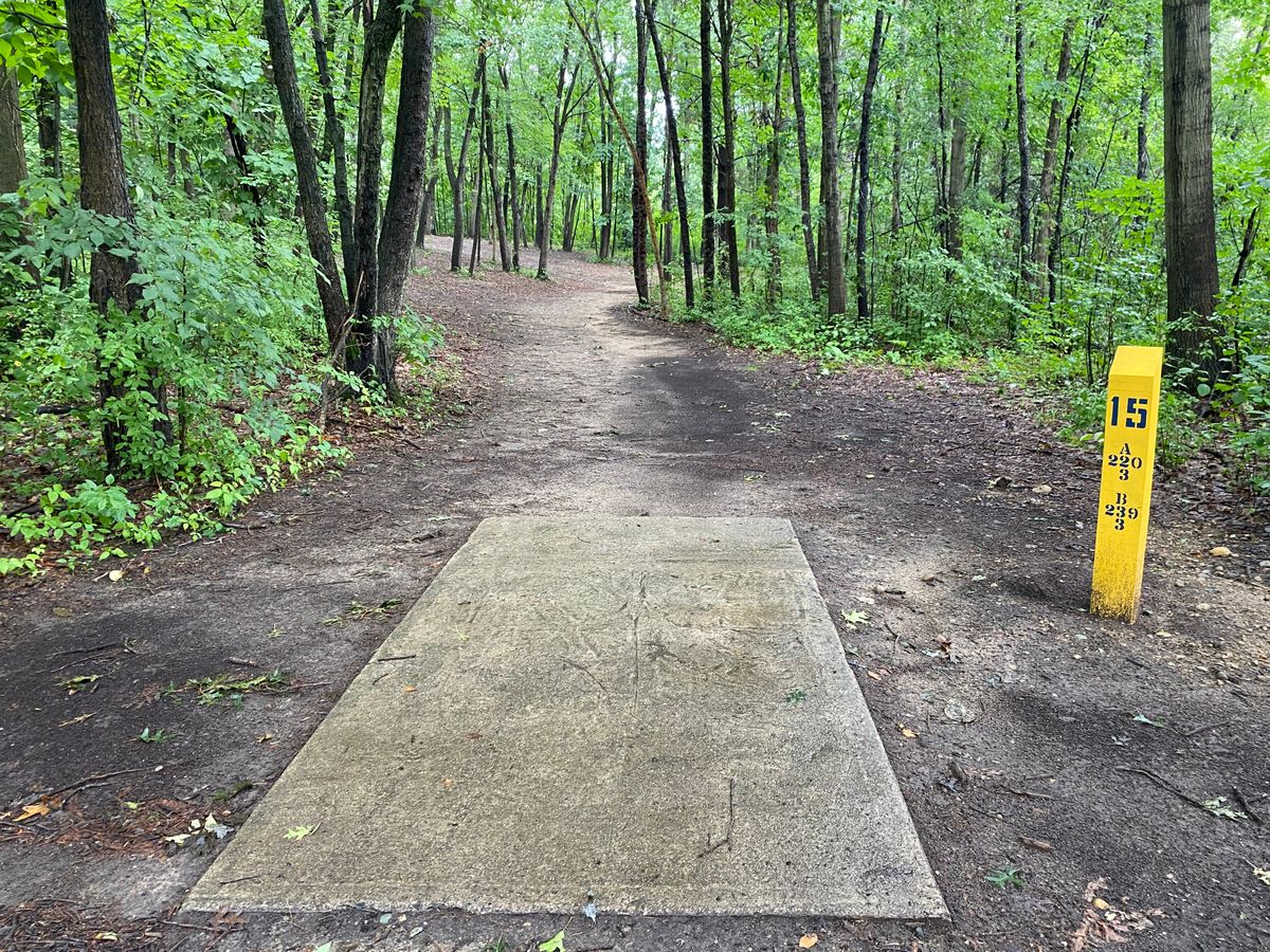 Hole 15 short pad