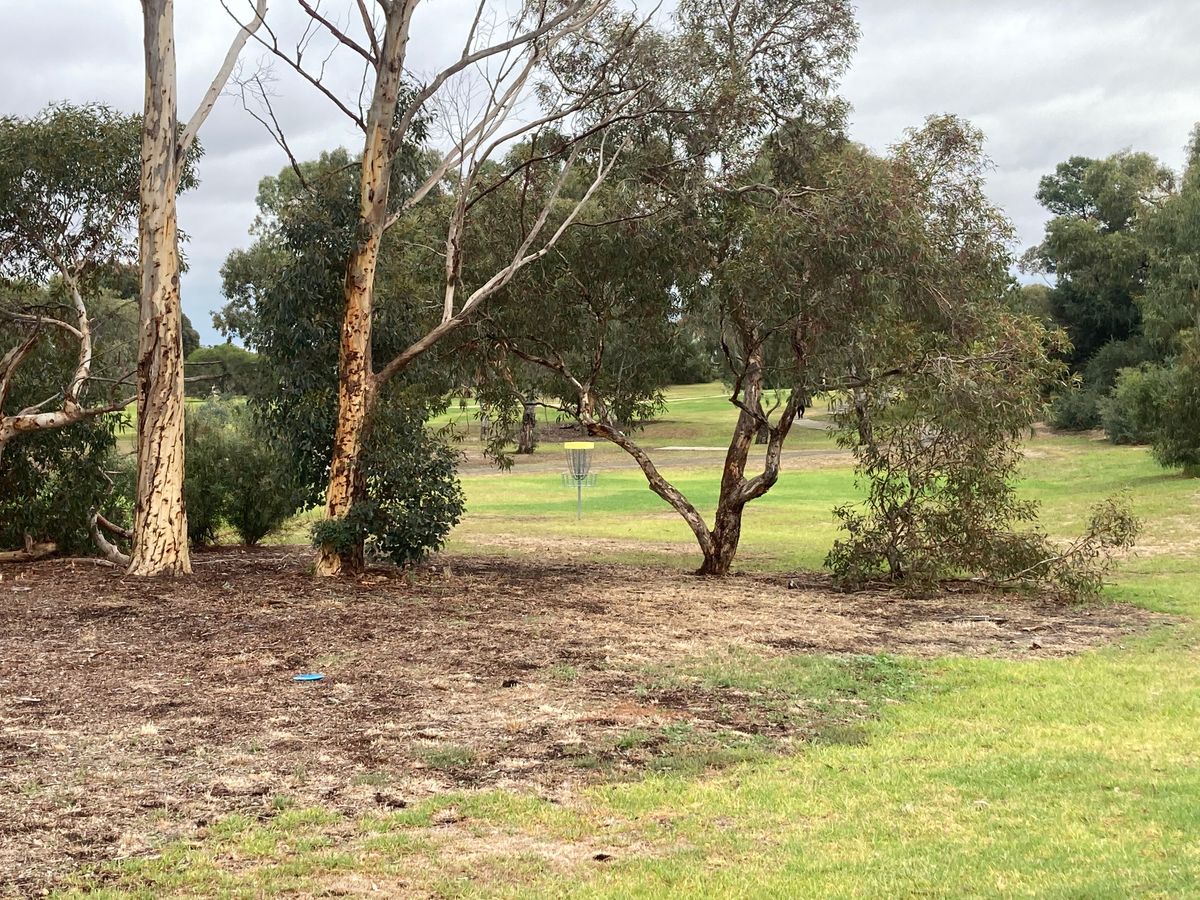 Hole 2/11.