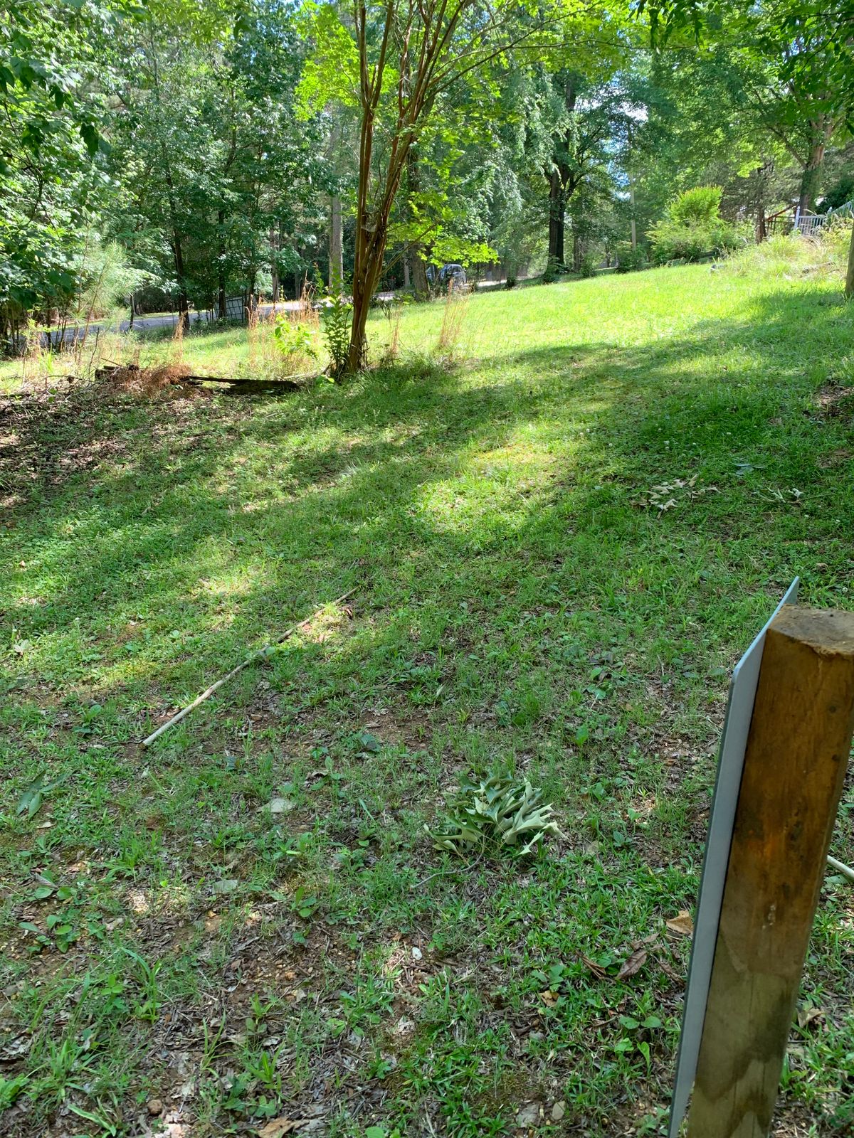 Hole 12