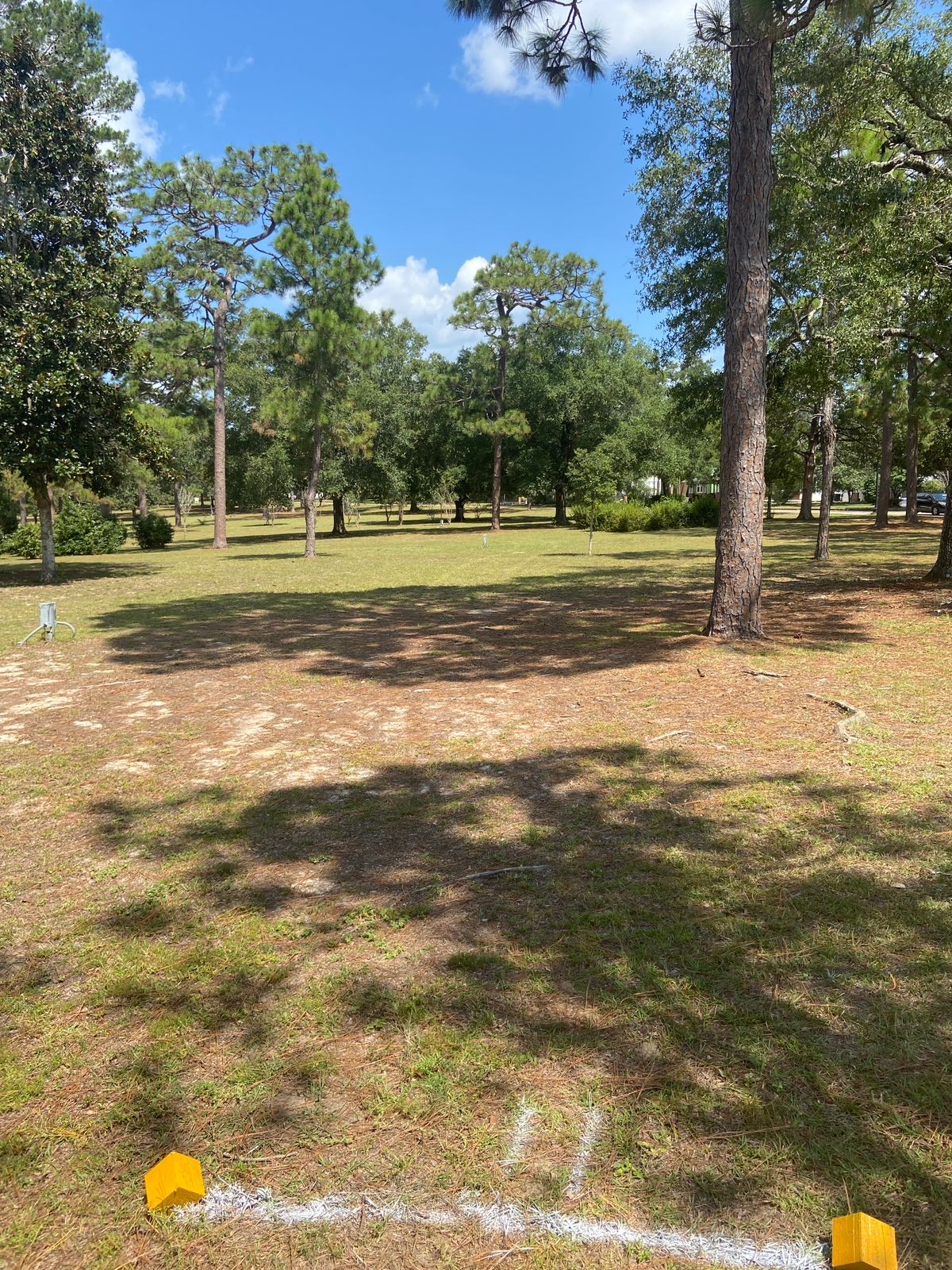 Hole 11 (Nolan Law design)