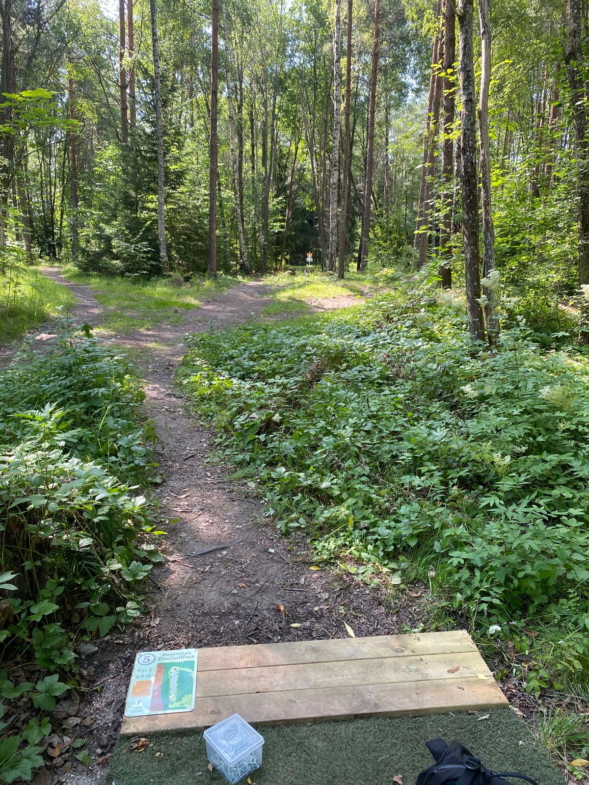Hole 5