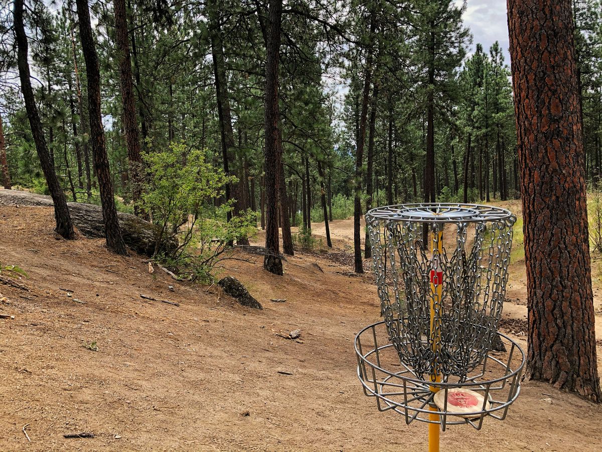 Hole 15