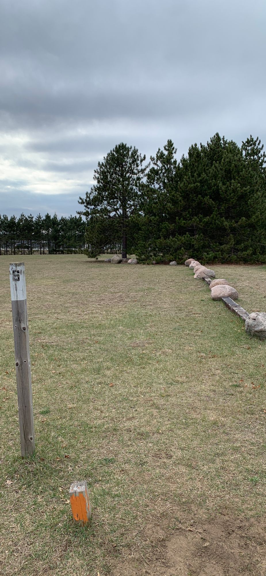 Hole 6 tee