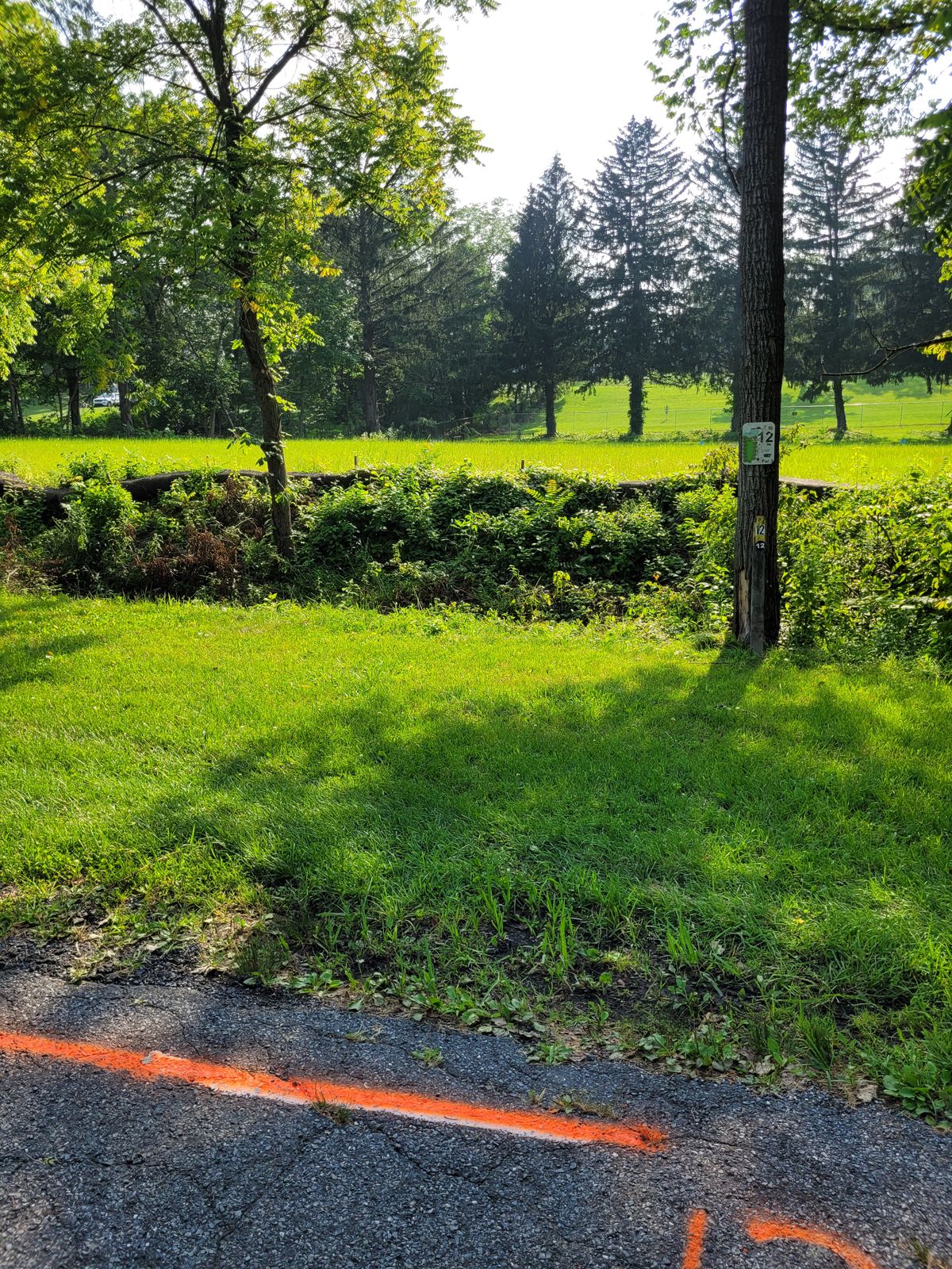 Hole 12