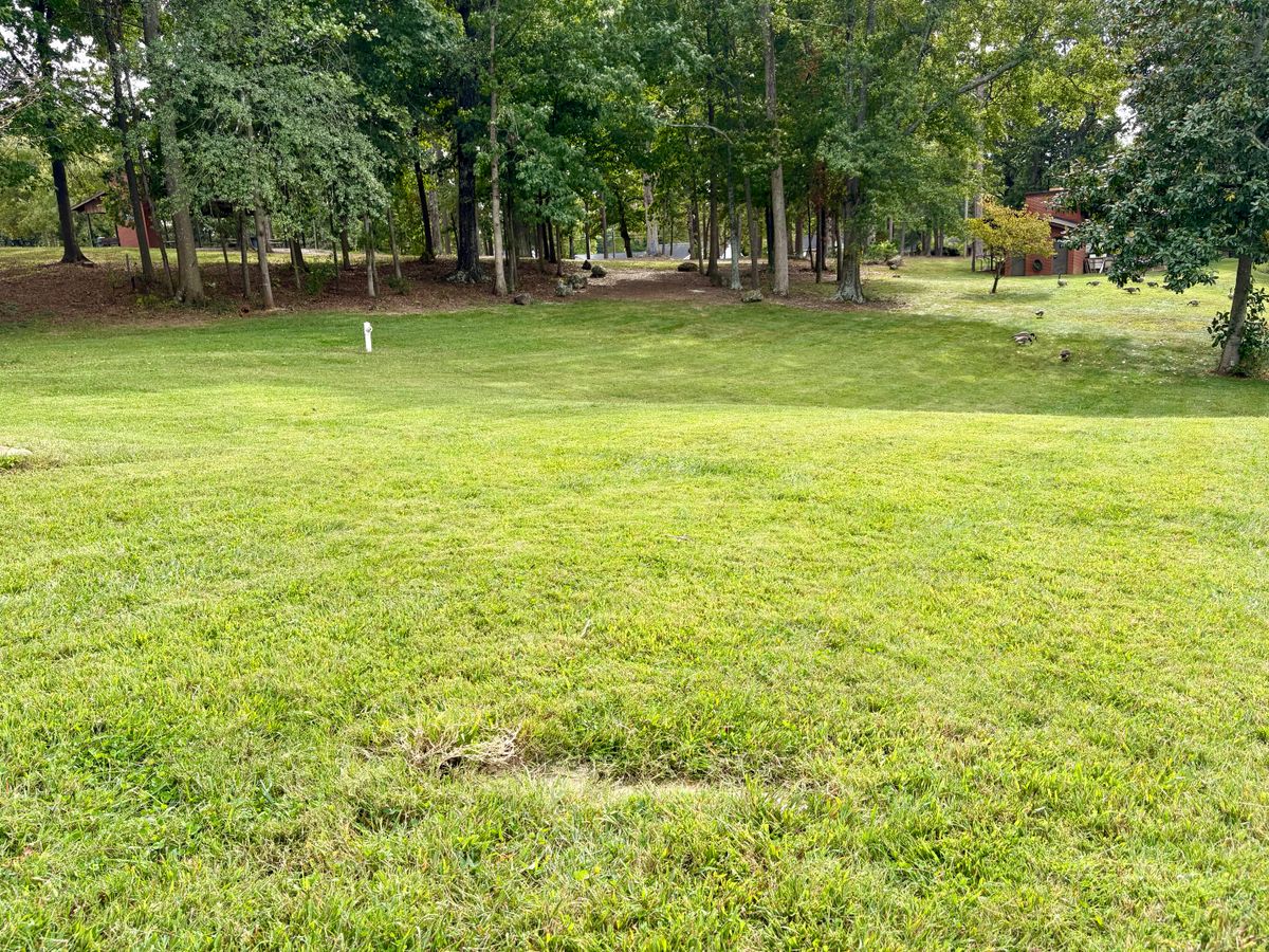 Hole 2 tee
