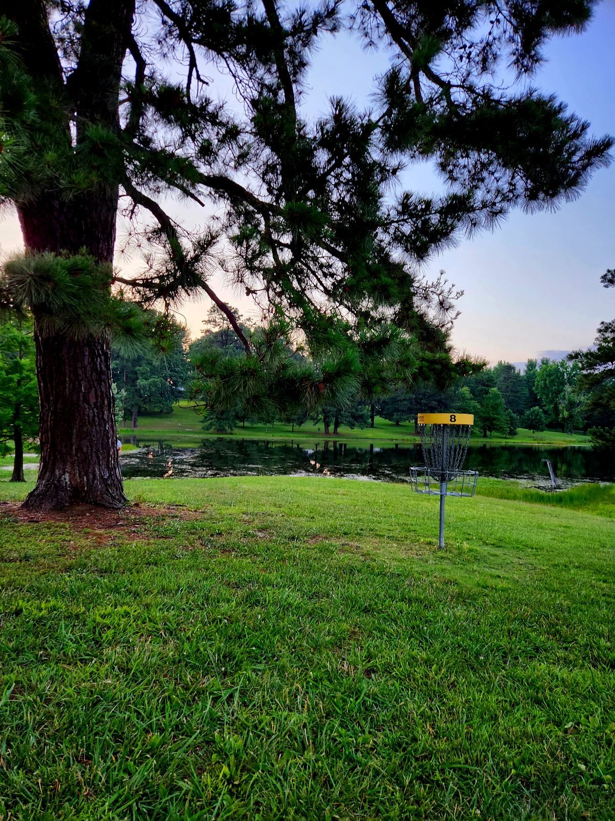 Hole 8 basket