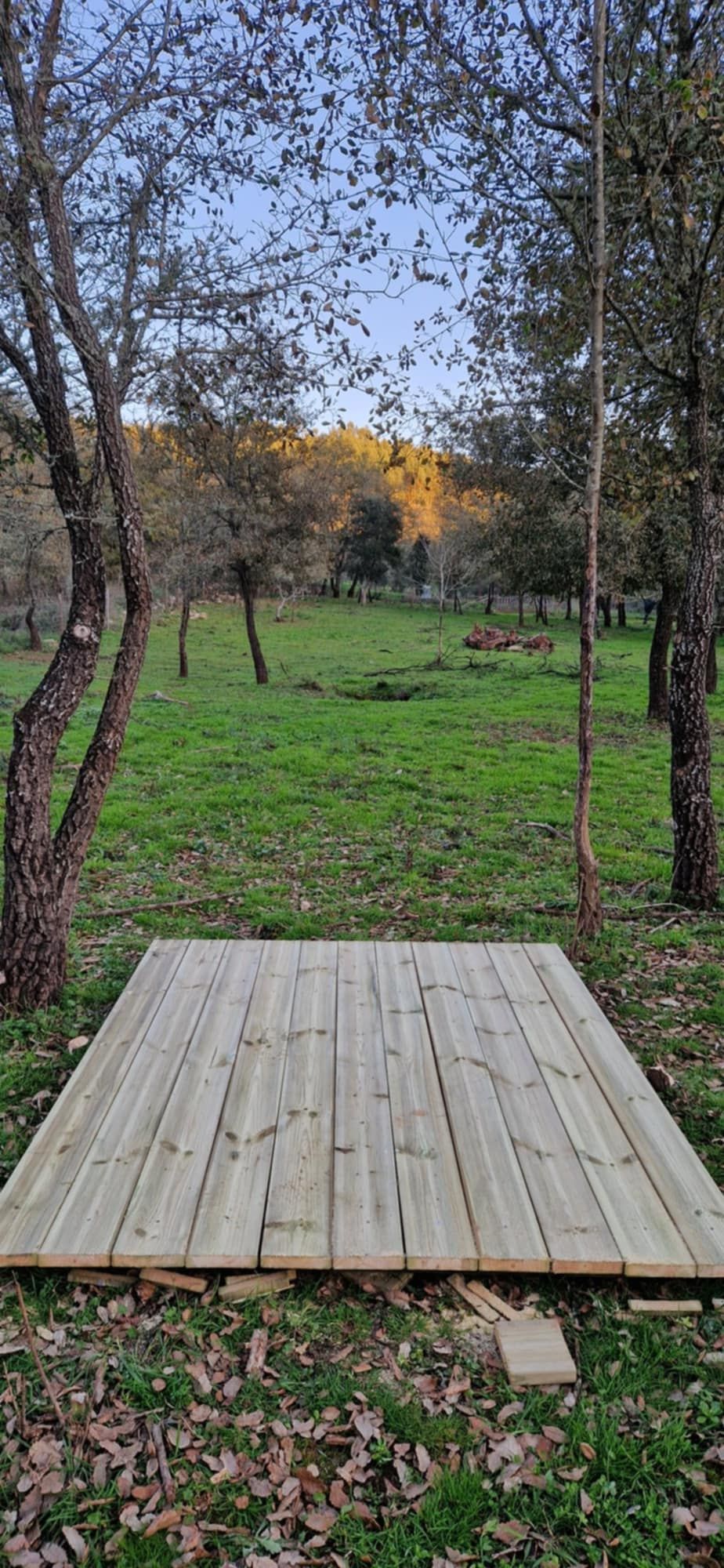 Hole 7 short tee