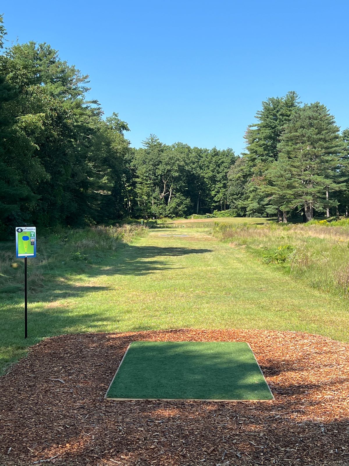 Hole 4 Tee