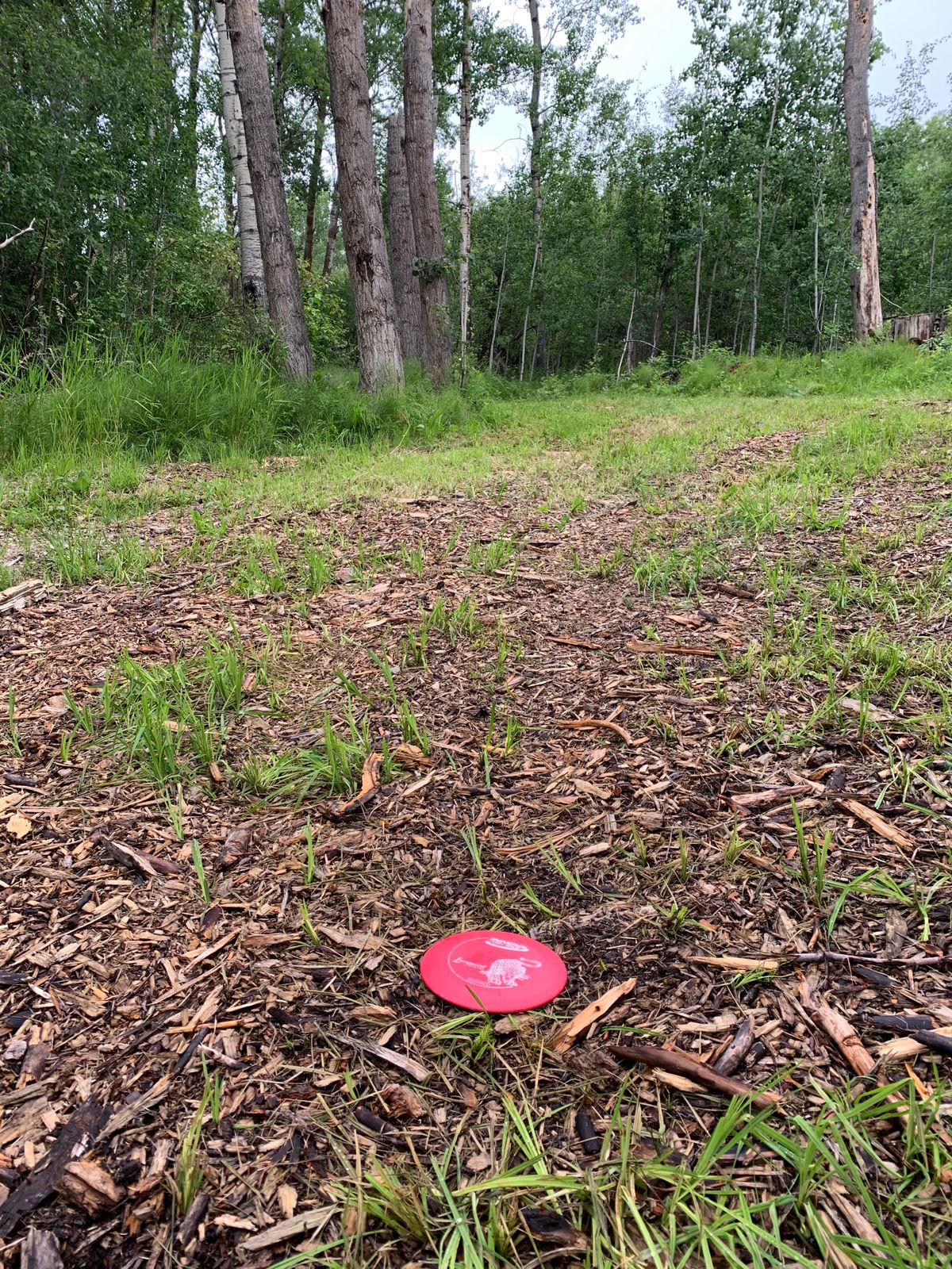 Tricky hole 7