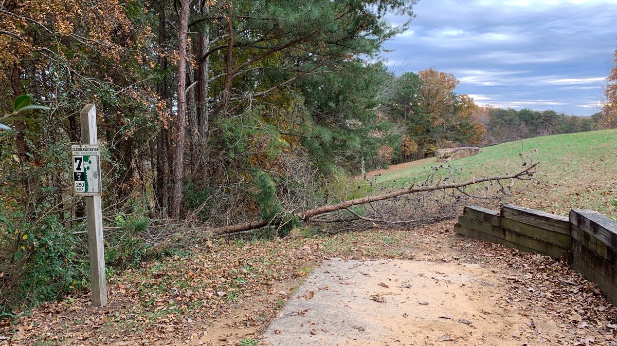 Hole 7