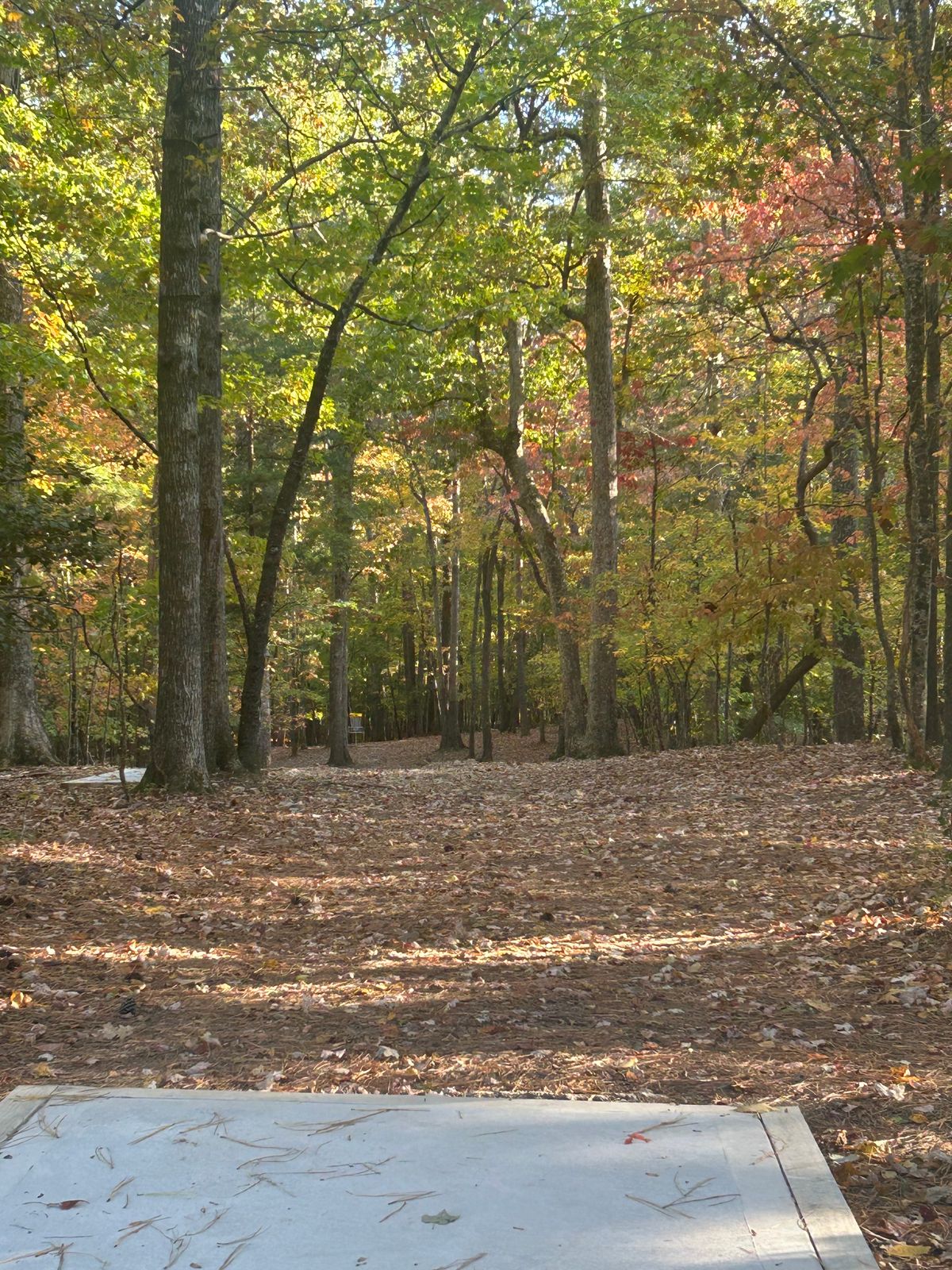 Hole 16w in the fall