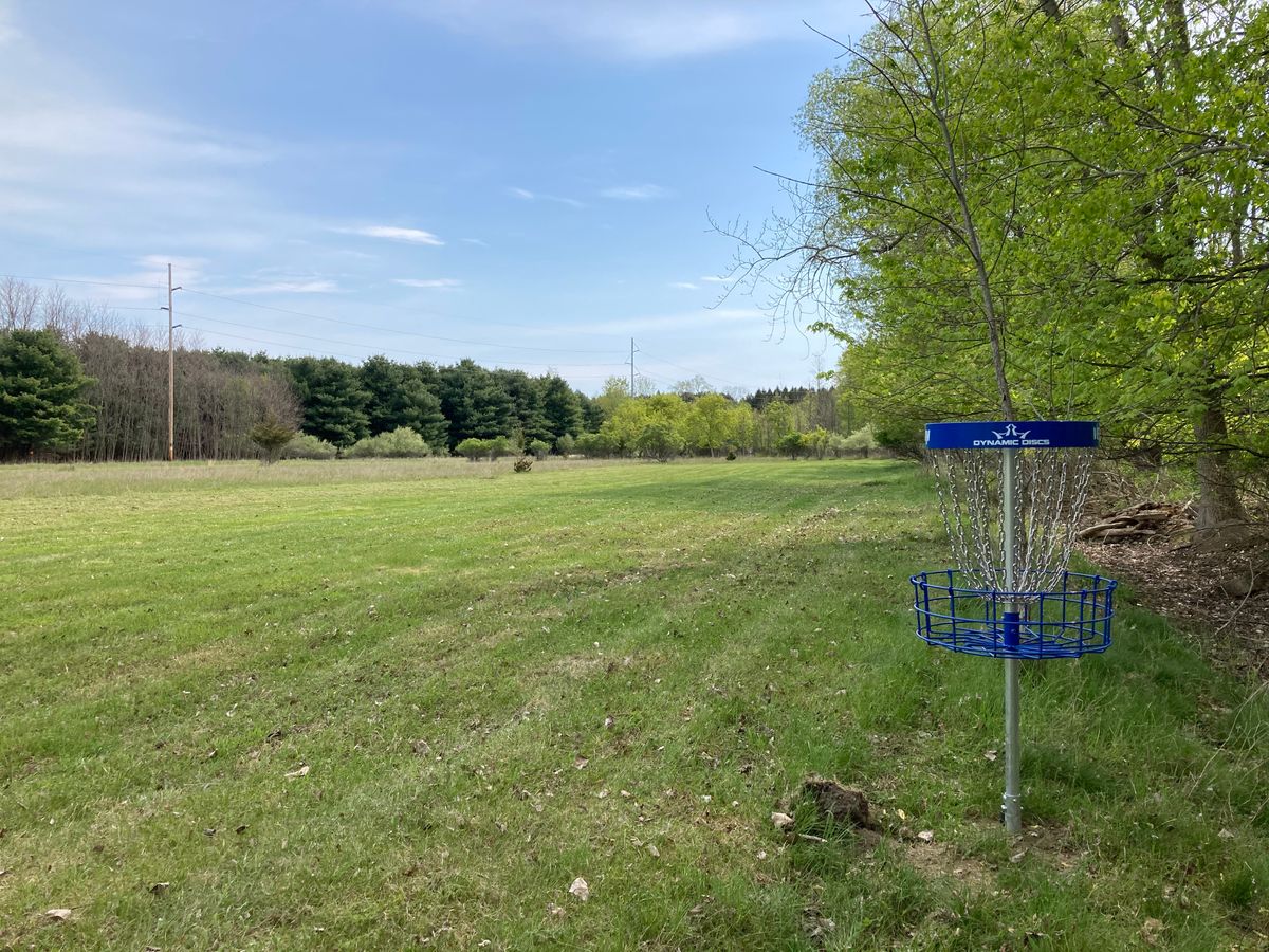 8 short basket back towards tee pads