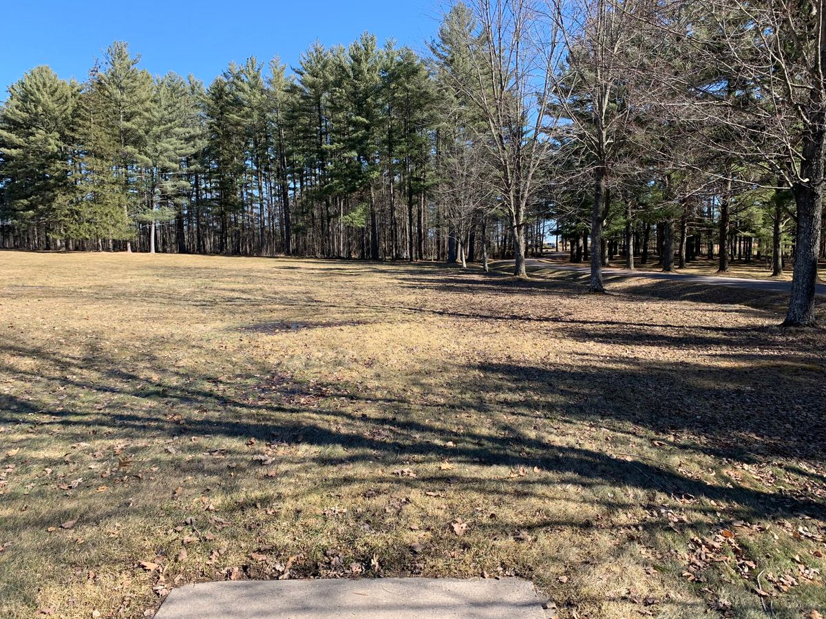 Hole 11 tee
