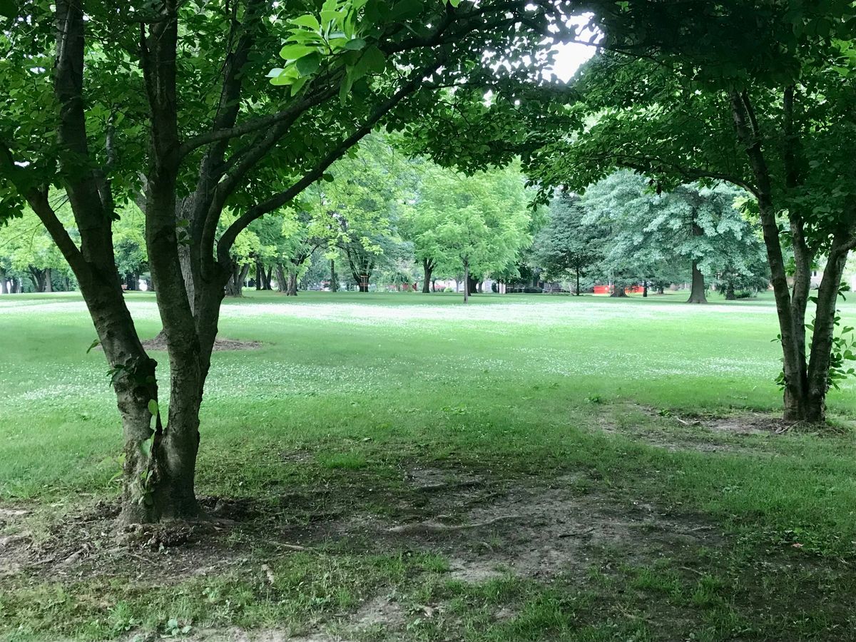 Hole 5, from the tee
