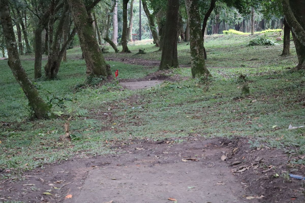 Hole 16 Long Tee