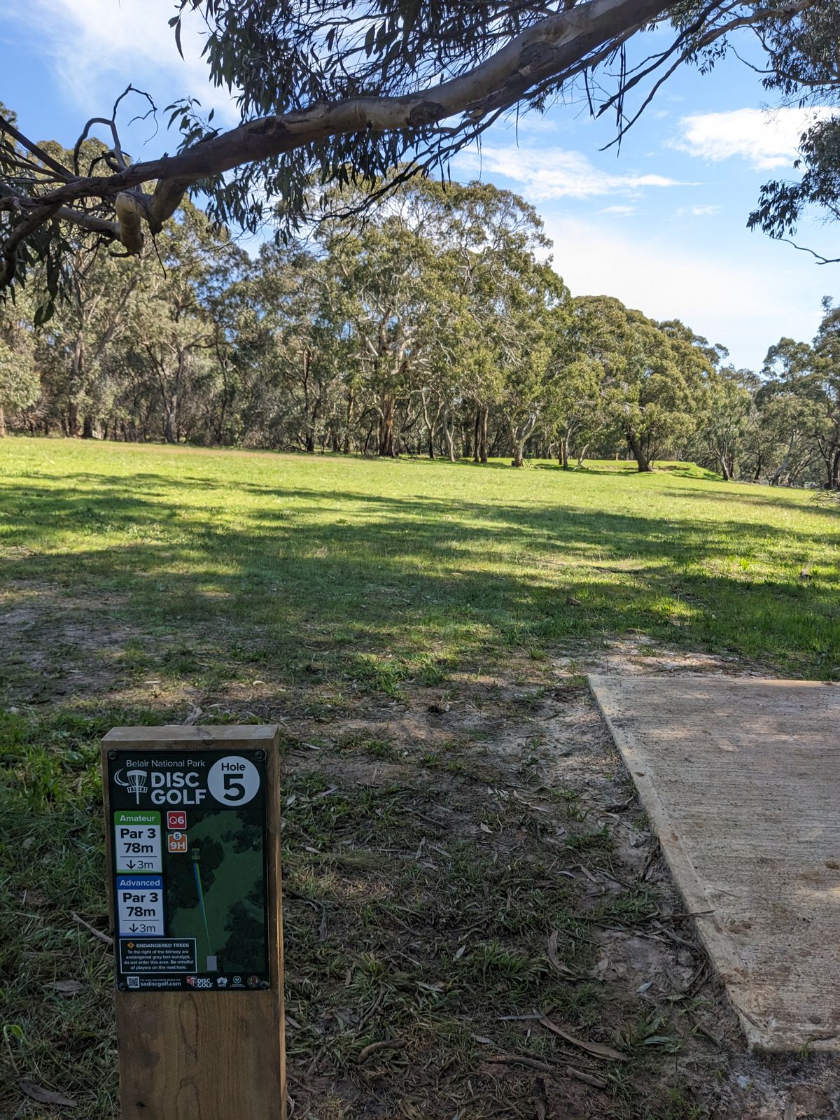 Hole 5