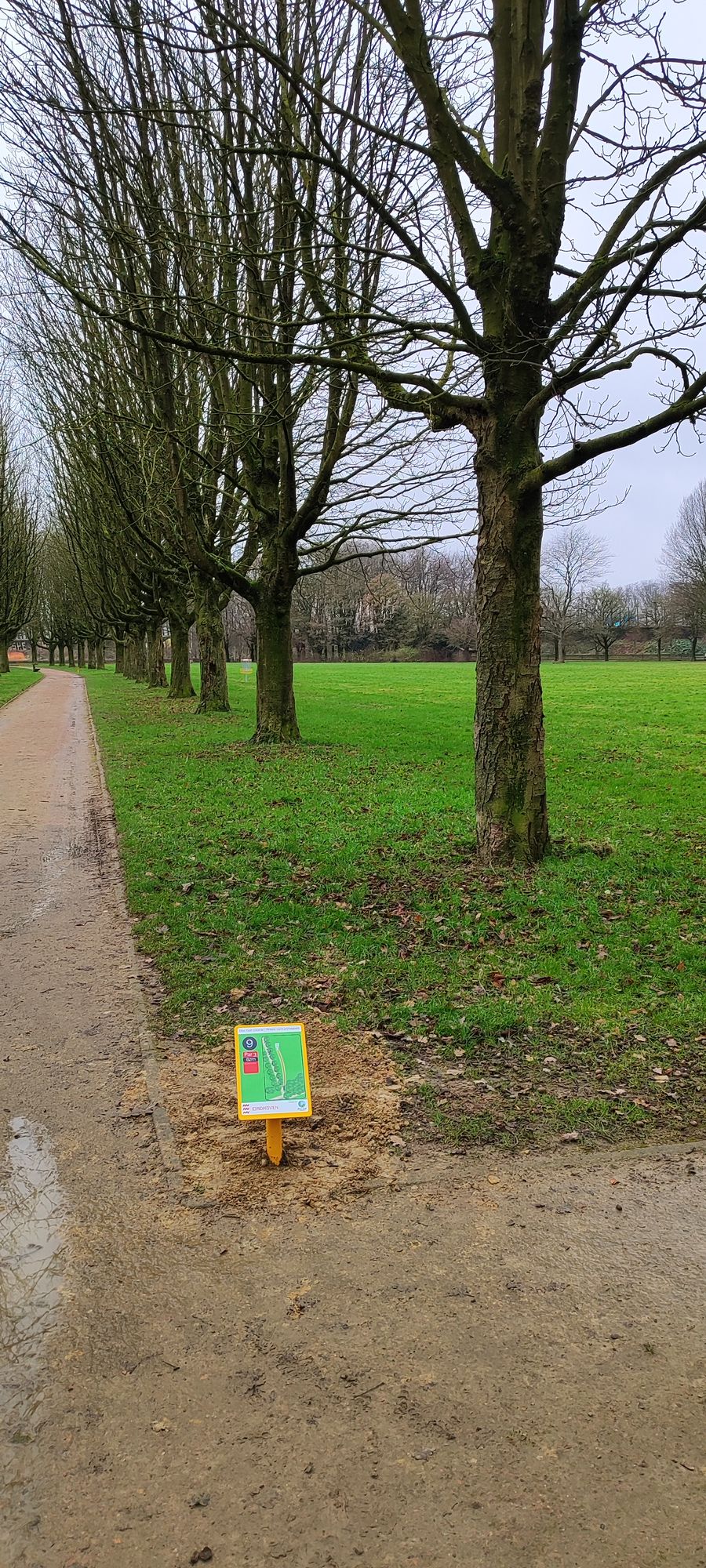 Beginner hole 9
