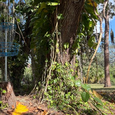 Hole #2