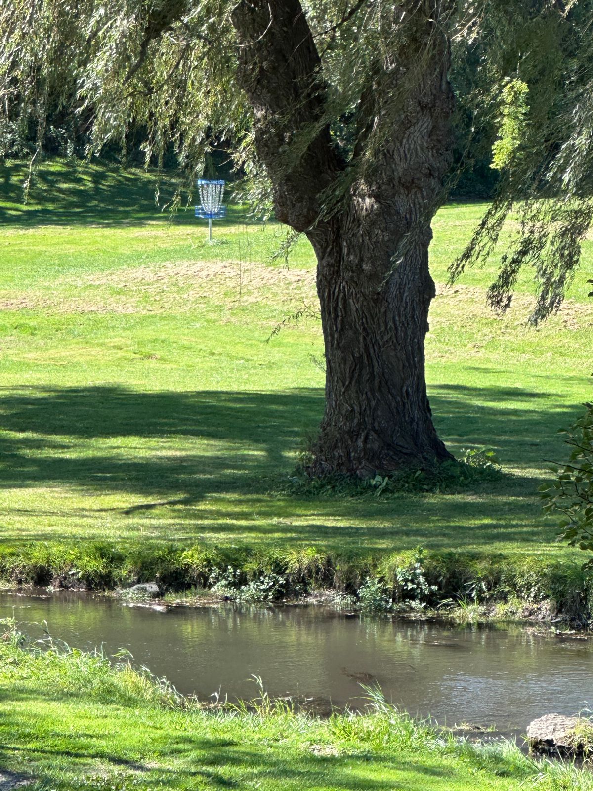 14 long tee zoomed in