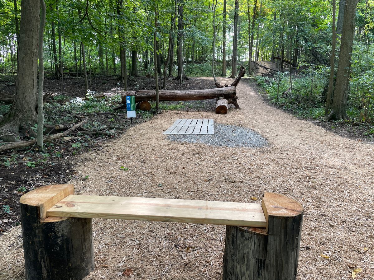 Bench at hole 15